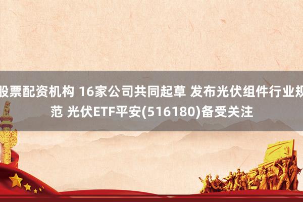 股票配资机构 16家公司共同起草 发布光伏组件行业规范 光伏ETF平安(516180)备受关注