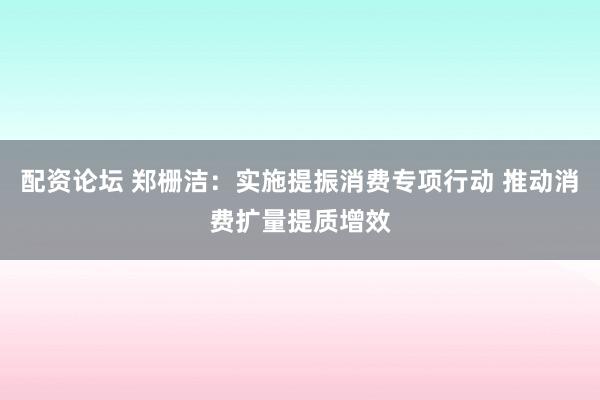 配资论坛 郑栅洁：实施提振消费专项行动 推动消费扩量提质增效