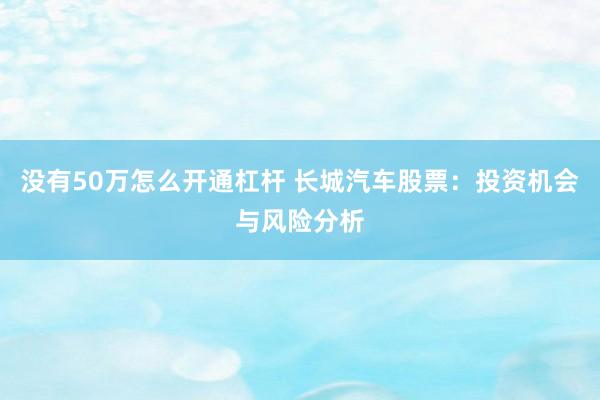 没有50万怎么开通杠杆 长城汽车股票：投资机会与风险分析