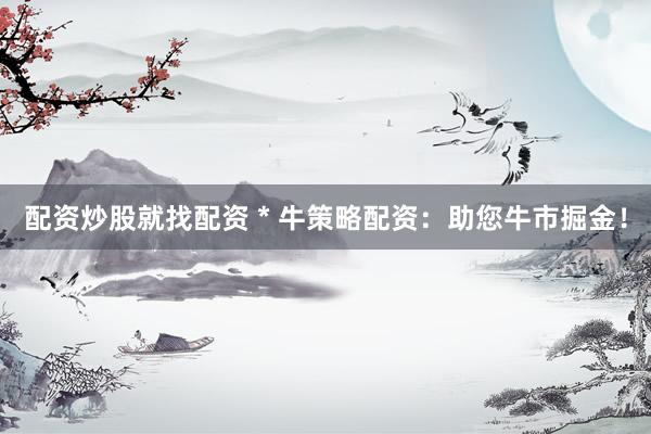 配资炒股就找配资 * 牛策略配资：助您牛市掘金！