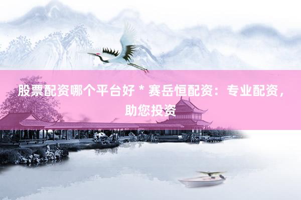 股票配资哪个平台好 * 赛岳恒配资：专业配资，助您投资