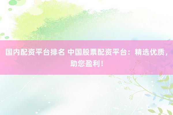 国内配资平台排名 中国股票配资平台：精选优质，助您盈利！