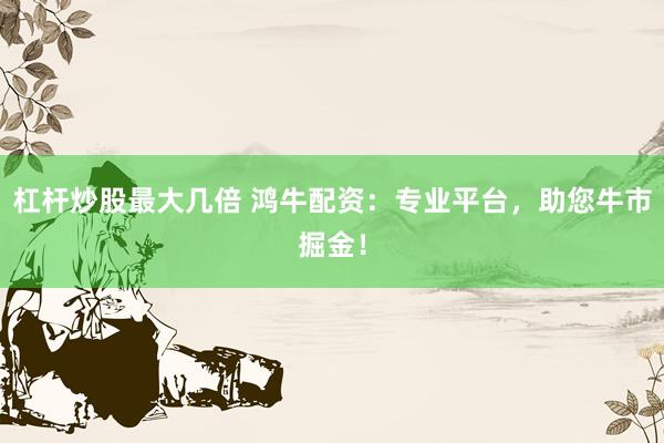 杠杆炒股最大几倍 鸿牛配资：专业平台，助您牛市掘金！