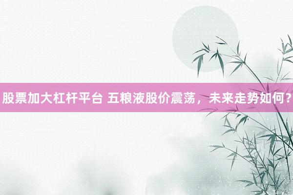 股票加大杠杆平台 五粮液股价震荡，未来走势如何？