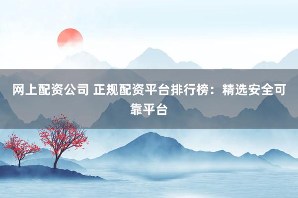 网上配资公司 正规配资平台排行榜：精选安全可靠平台