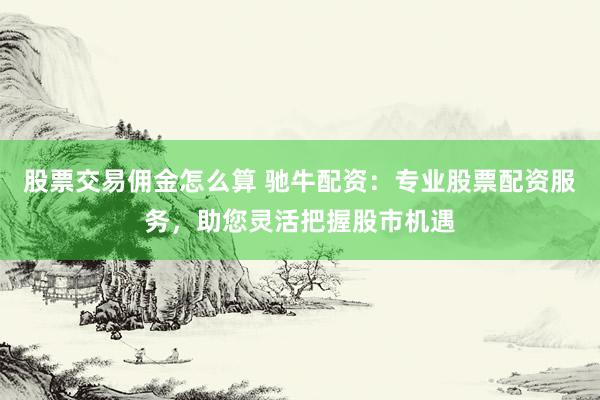 股票交易佣金怎么算 驰牛配资：专业股票配资服务，助您灵活把握股市机遇