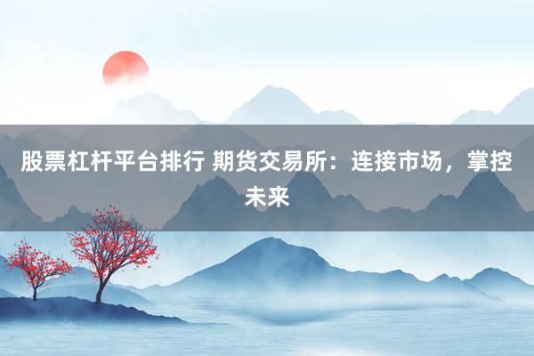 股票杠杆平台排行 期货交易所：连接市场，掌控未来