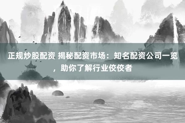正规炒股配资 揭秘配资市场：知名配资公司一览，助你了解行业佼佼者