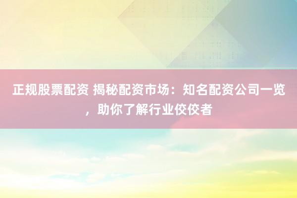 正规股票配资 揭秘配资市场:知名配资公司一览,助你了解行业佼佼者