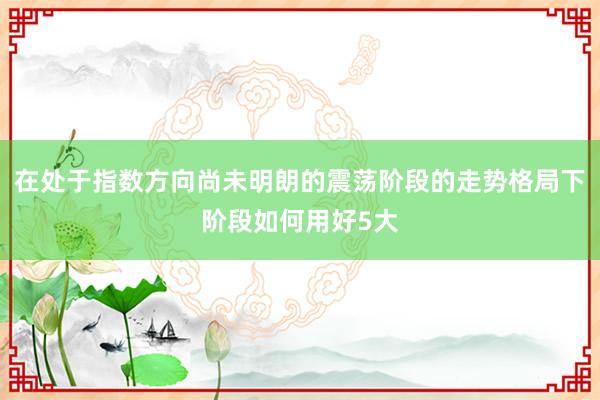在处于指数方向尚未明朗的震荡阶段的走势格局下阶段如何用好5大