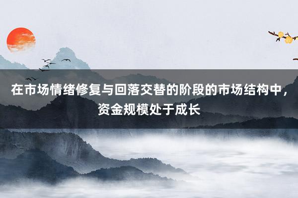 在市场情绪修复与回落交替的阶段的市场结构中，资金规模处于成长