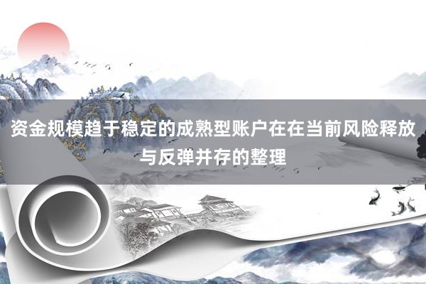 资金规模趋于稳定的成熟型账户在在当前风险释放与反弹并存的整理