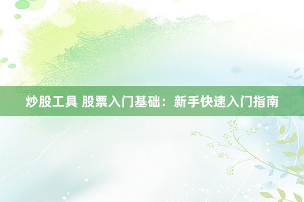 炒股工具 股票入门基础：新手快速入门指南