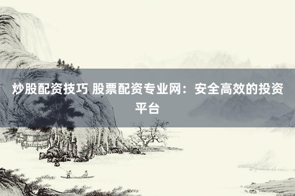 炒股配资技巧 股票配资专业网：安全高效的投资平台