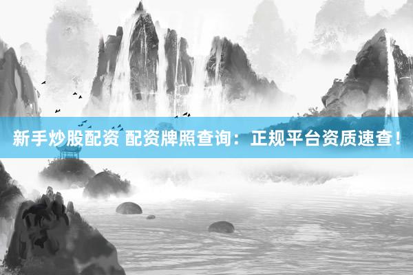 新手炒股配资 配资牌照查询：正规平台资质速查！