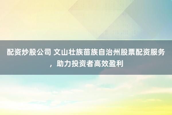 配资炒股公司 文山壮族苗族自治州股票配资服务，助力投资者高效盈利