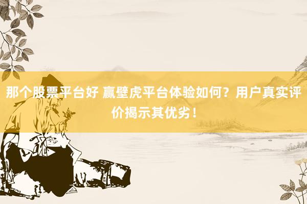 那个股票平台好 赢壁虎平台体验如何？用户真实评价揭示其优劣！