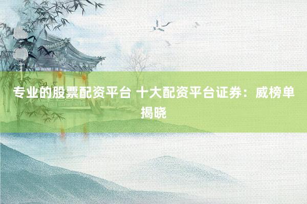 专业的股票配资平台 十大配资平台证券：威榜单揭晓
